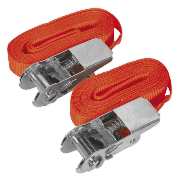 Self-Securing Ratchet Straps 25mm x 4.5m 500kg Breaking Strength - Pair