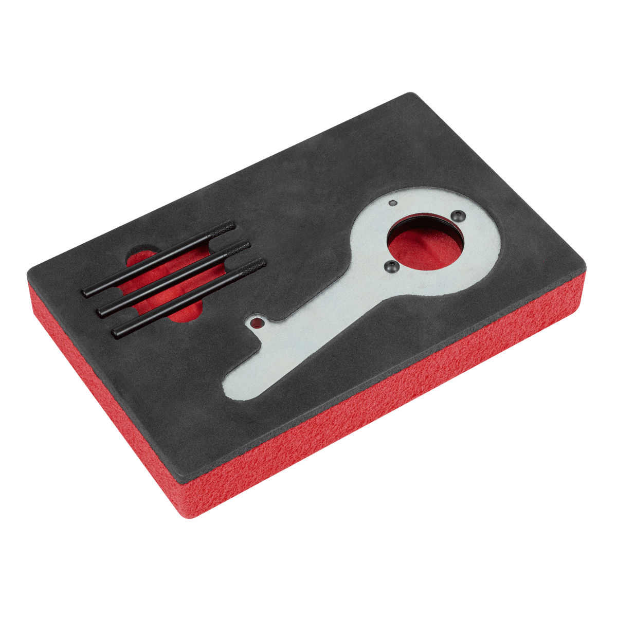 Diesel Engine Timing Tool Kit for Ford 2.0TDCi EcoBlue - Belt Drive