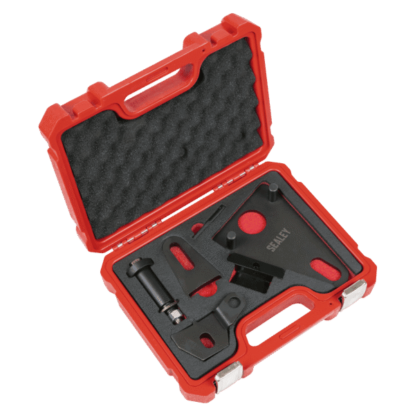 Front Pulley & Flywheel Locking Tool Set - Chain Drive