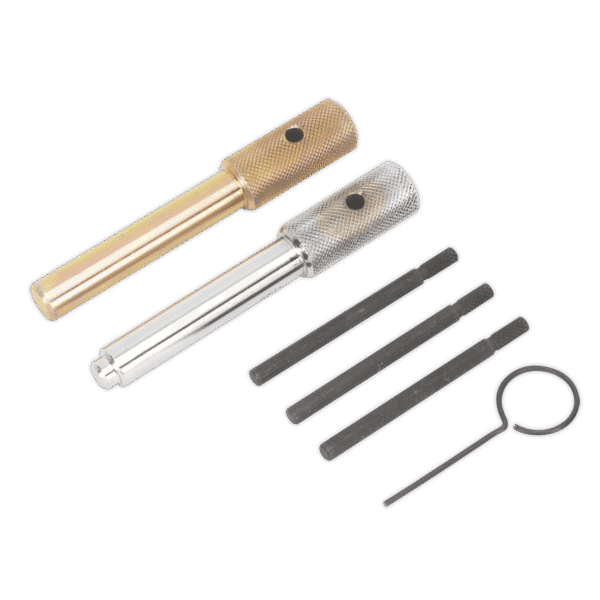 Diesel Engine Timing Tool Kit - for Ford, Fiat, JLR, LDV, PSA 2.0D/2.2D/2.4D/3.2D - Chain Drive