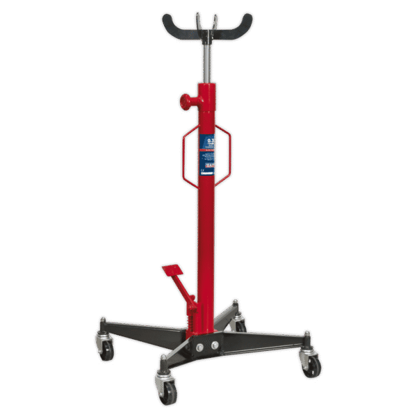 Vertical Transmission Jack 300kg