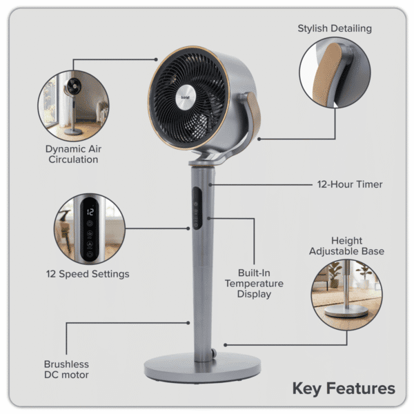 Baridi 12" Pedestal Fan with Remote Control, Back Light & 12hr Timer - Grey