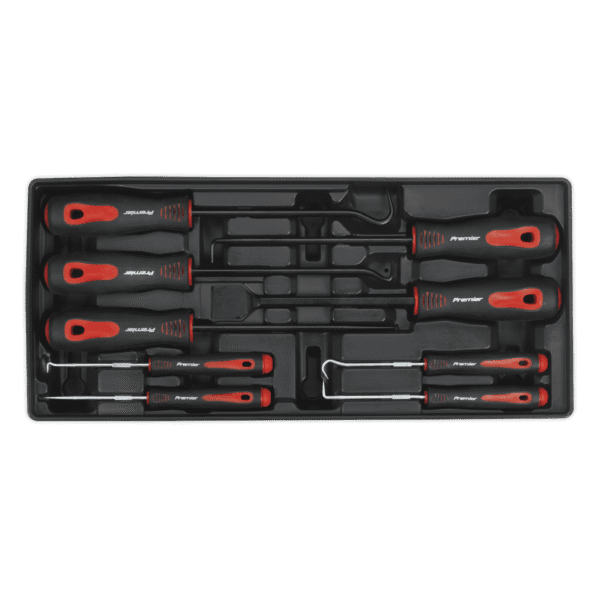 Premier Scraper & Hook Set with Tool Tray 9pc